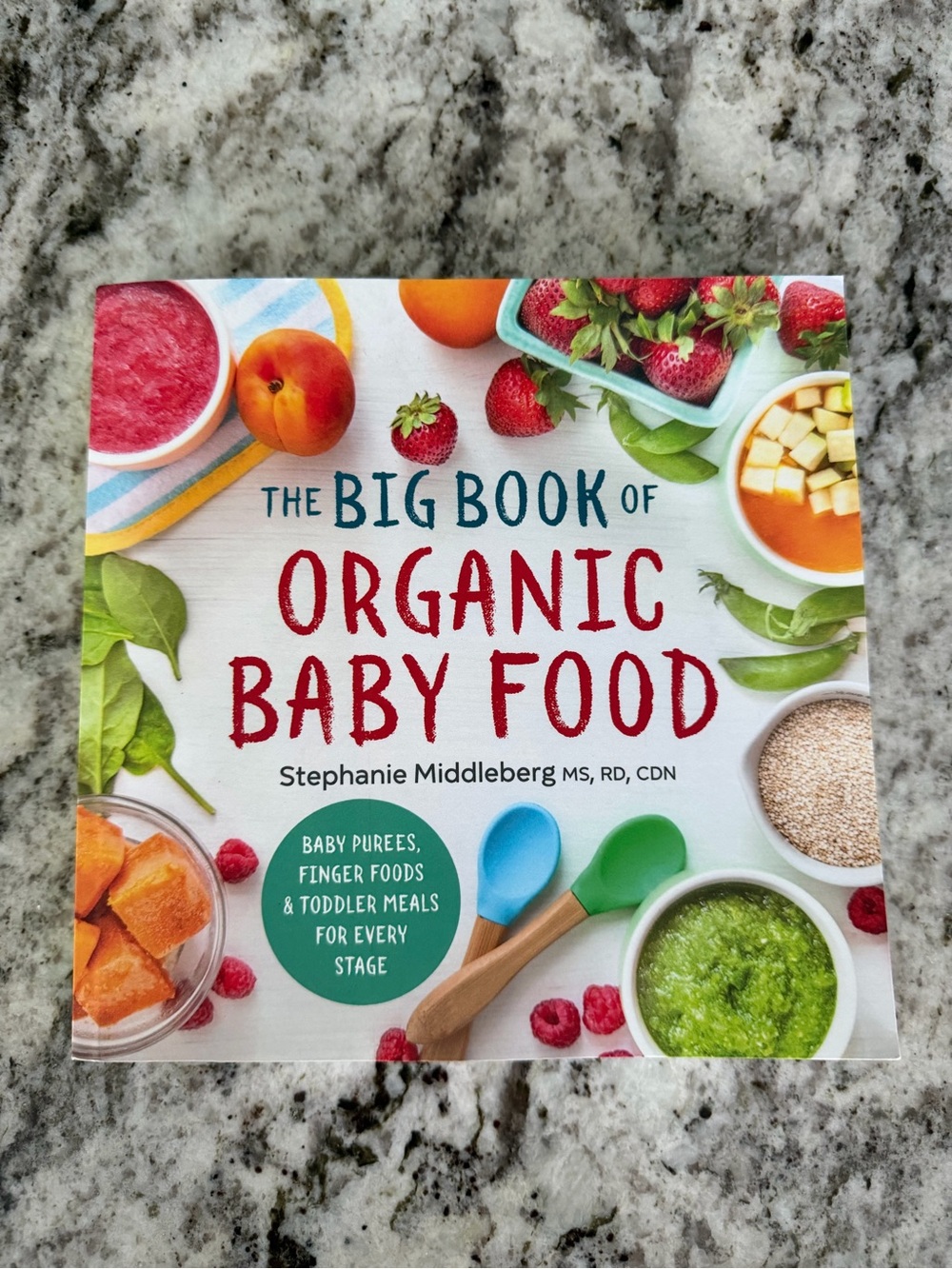 The Big Book of Organic Baby Food by Stephanie Middleberg